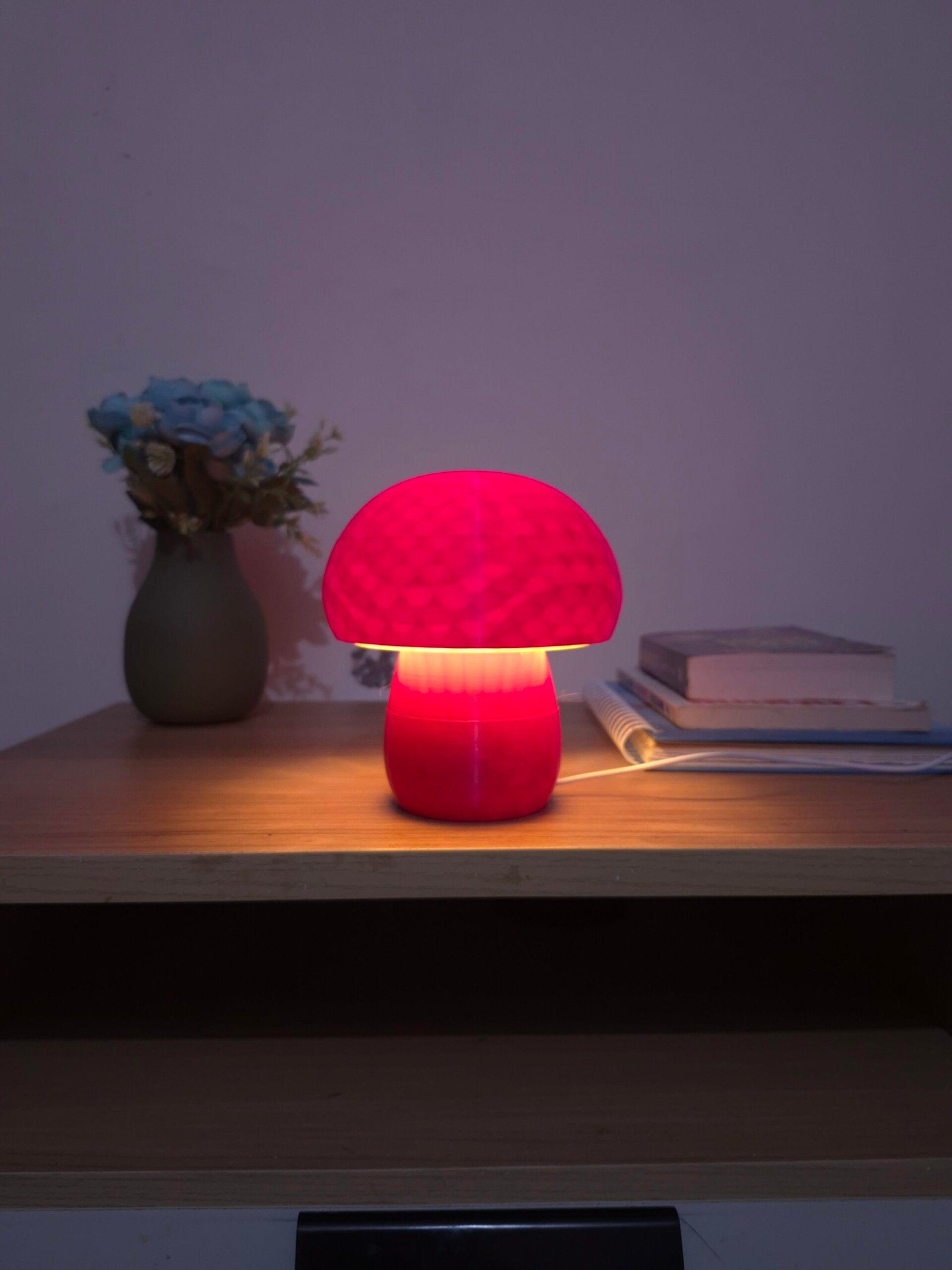 IllumiToad - Image 6