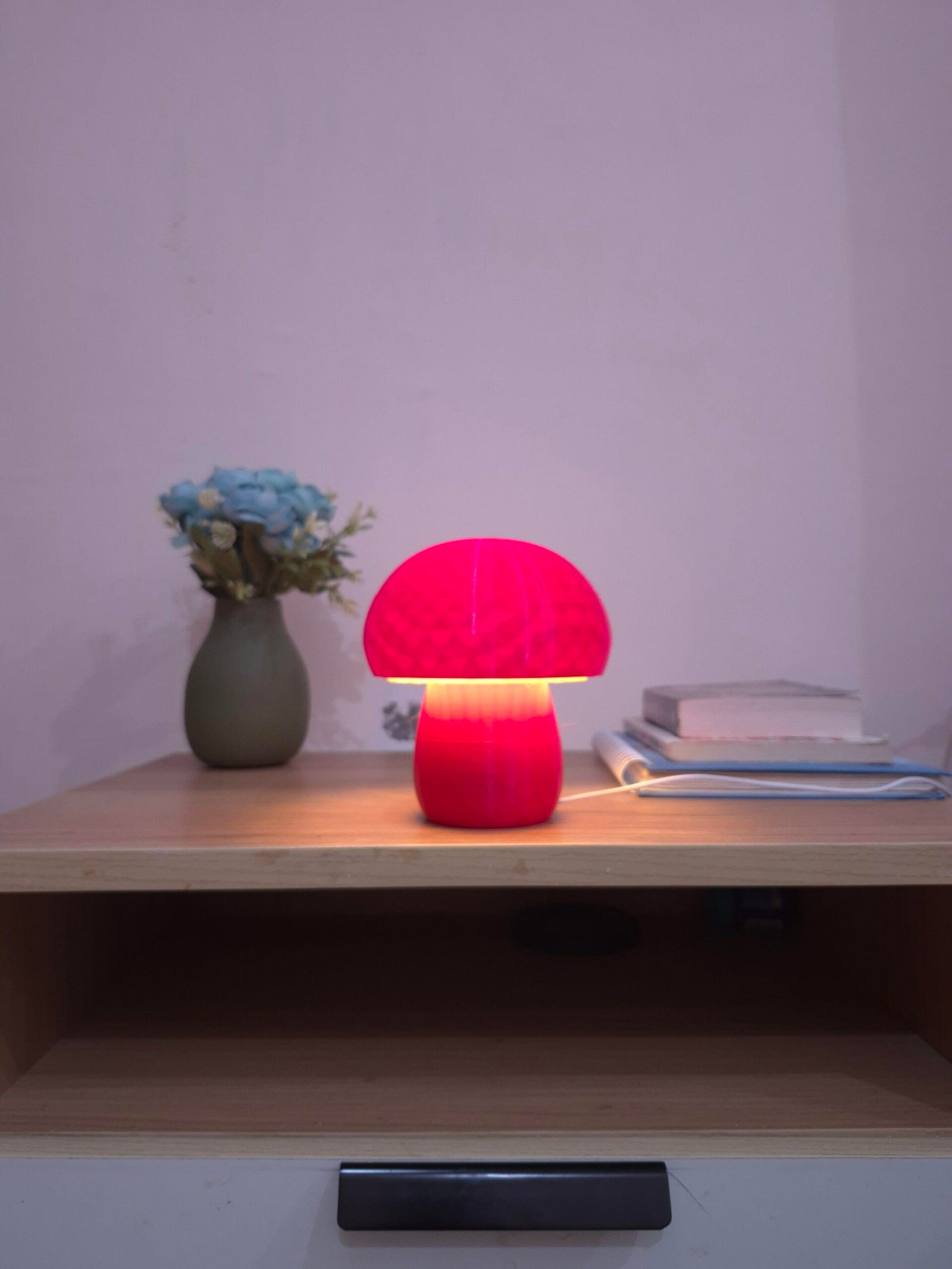 IllumiToad - Image 5