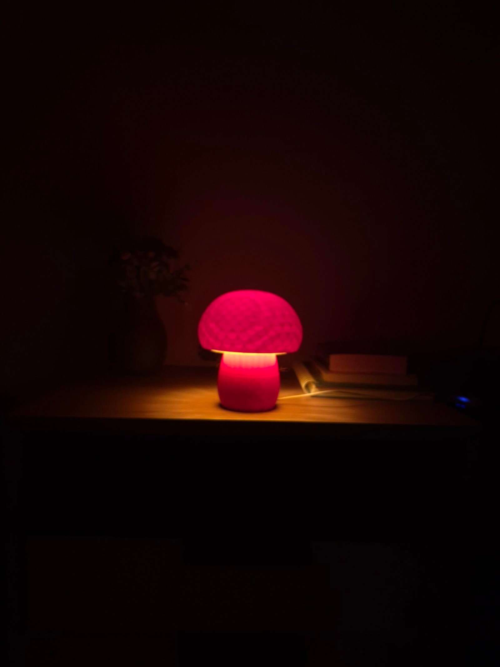 IllumiToad - Image 4