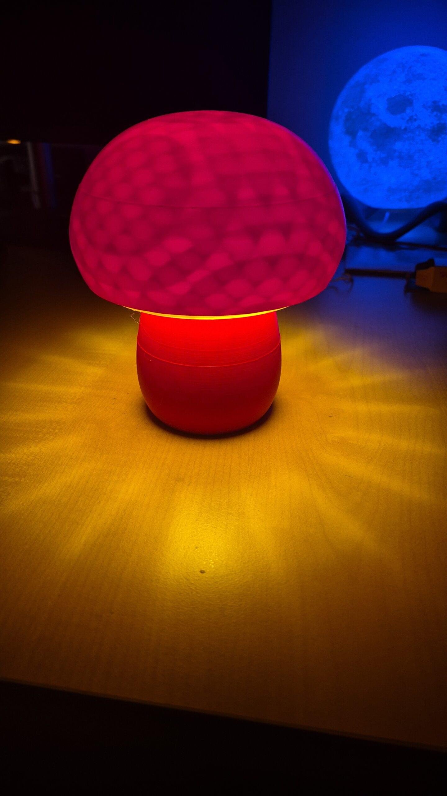 IllumiToad - Image 2